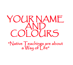 Anishnawbe Health Toronto